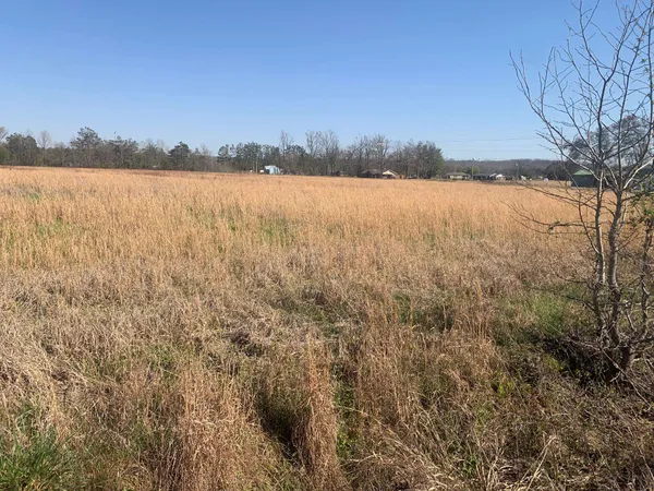 $250,000 | 0 57th Highway East, Michie, TN 38357