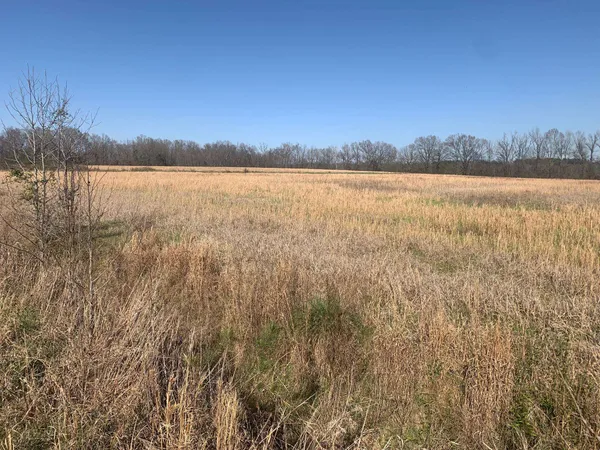 $250,000 | 0 57th Highway East, Michie, TN 38357