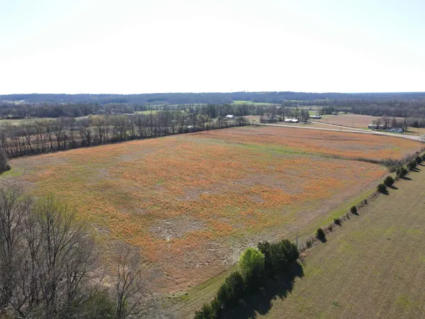 $250,000 | 0 57th Highway East, Michie, TN 38357