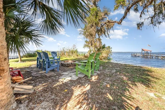 a view of a yard with palm trees
