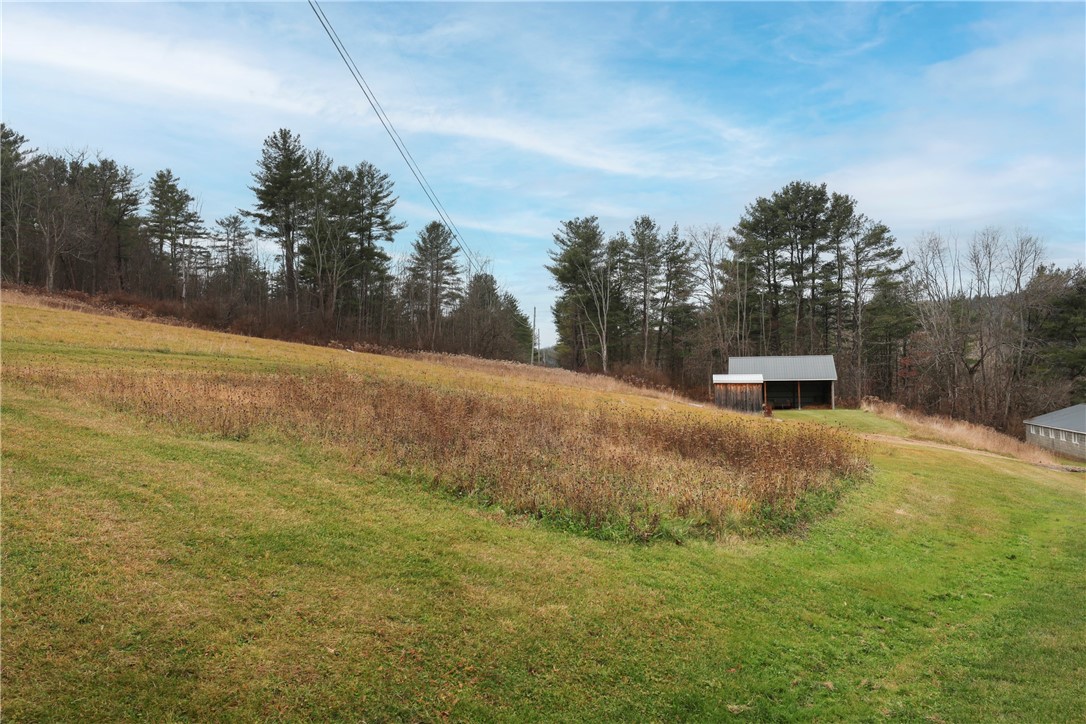 1742 Addison Back Road Tuscarora, NY 14801 - Photo 35 of 46