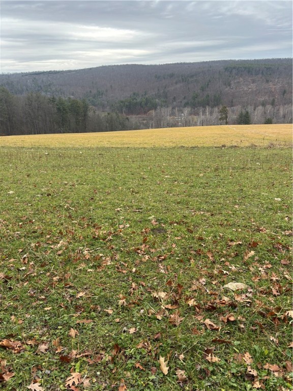 1742 Addison Back Road Tuscarora, NY 14801 - Photo 38 of 46