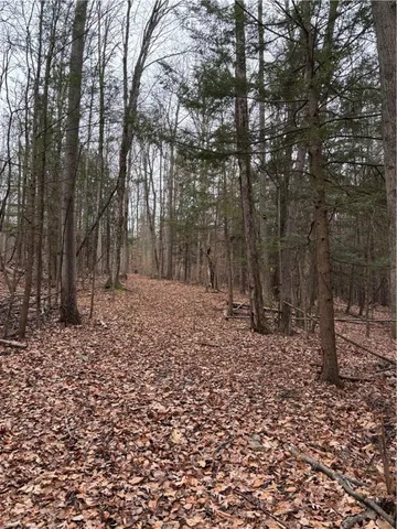 $284,000 | 1742 Addison Back Road, Tuscarora, NY 14801