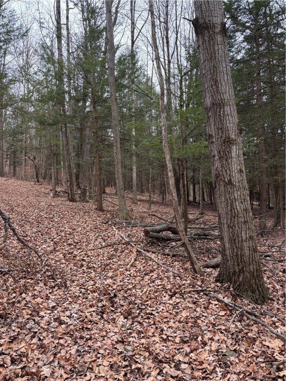 1742 Addison Back Road Tuscarora, NY 14801 - Photo 40 of 46