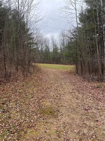 $284,000 | 1742 Addison Back Road, Tuscarora, NY 14801