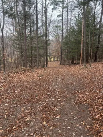 $284,000 | 1742 Addison Back Road, Tuscarora, NY 14801