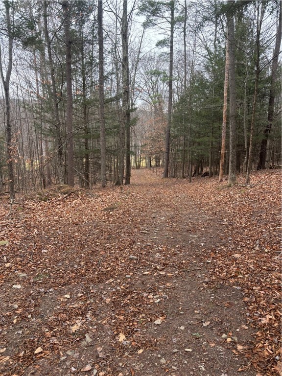 1742 Addison Back Road Tuscarora, NY 14801 - Photo 42 of 46