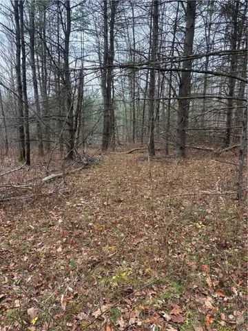 $284,000 | 1742 Addison Back Road, Tuscarora, NY 14801