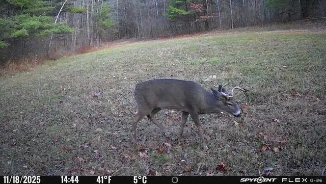 $284,000 | 1742 Addison Back Road, Tuscarora, NY 14801