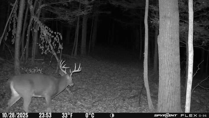 1742 Addison Back Road Tuscarora, NY 14801 - Photo 46 of 46