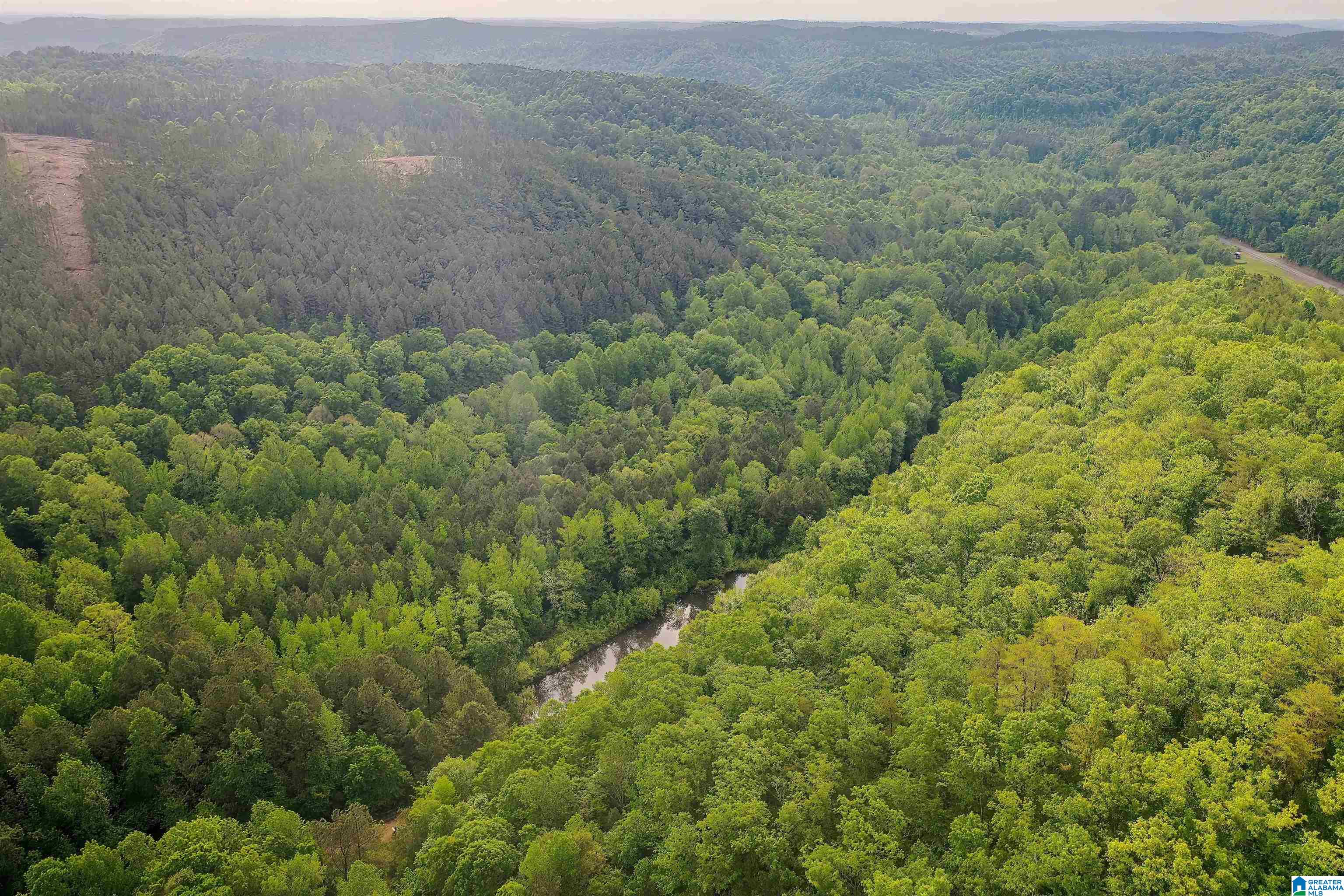 0 Wolf Creek Road Carbon Hill, AL 35549 - Photo 17 of 29