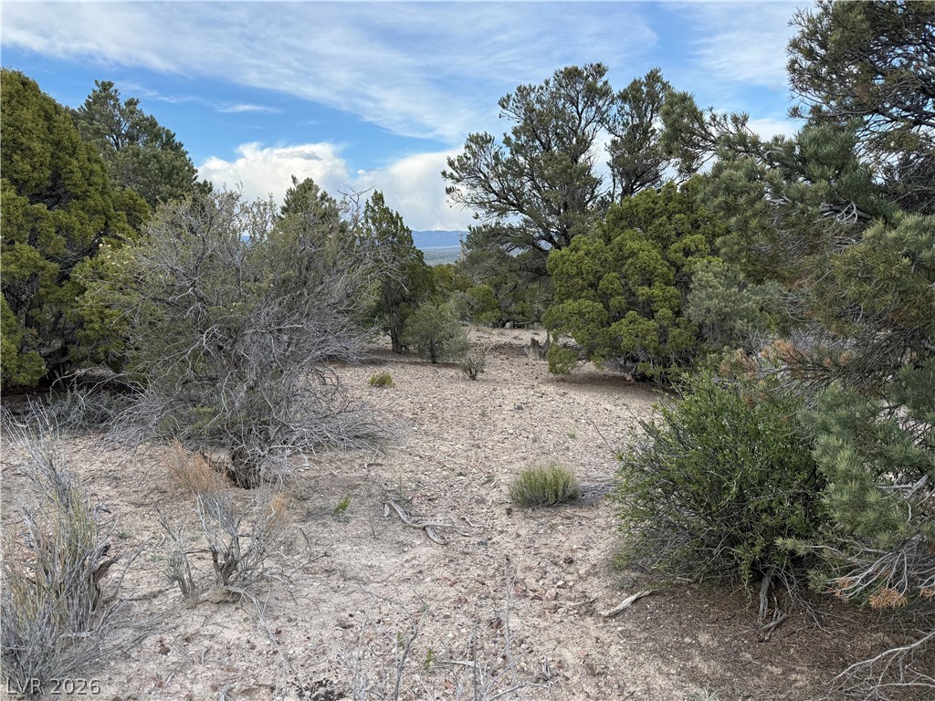 0 Timber Crest Way Pioche, NV 89043 - Photo 7 of 9
