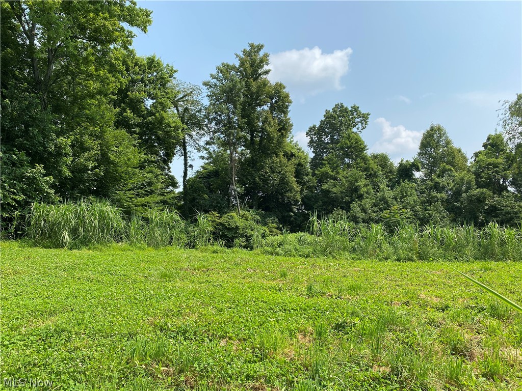 9401 Bell Run Road Adamsville, OH 43802 - Photo 14 of 27 Gallery Image 14