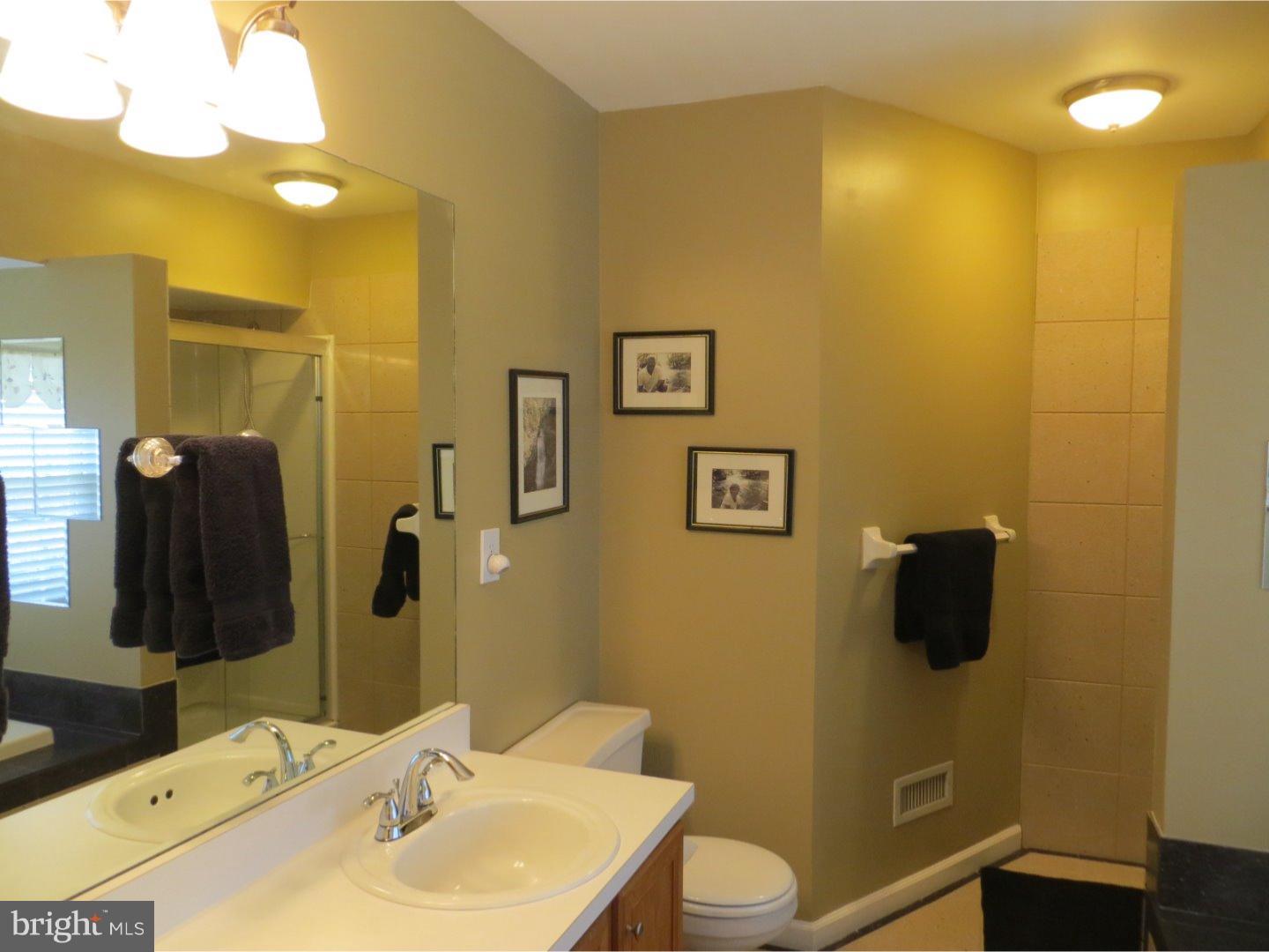 23 Knoll Road Coatesville, PA 19320 - Photo 12 of 25 Master Bathroom
