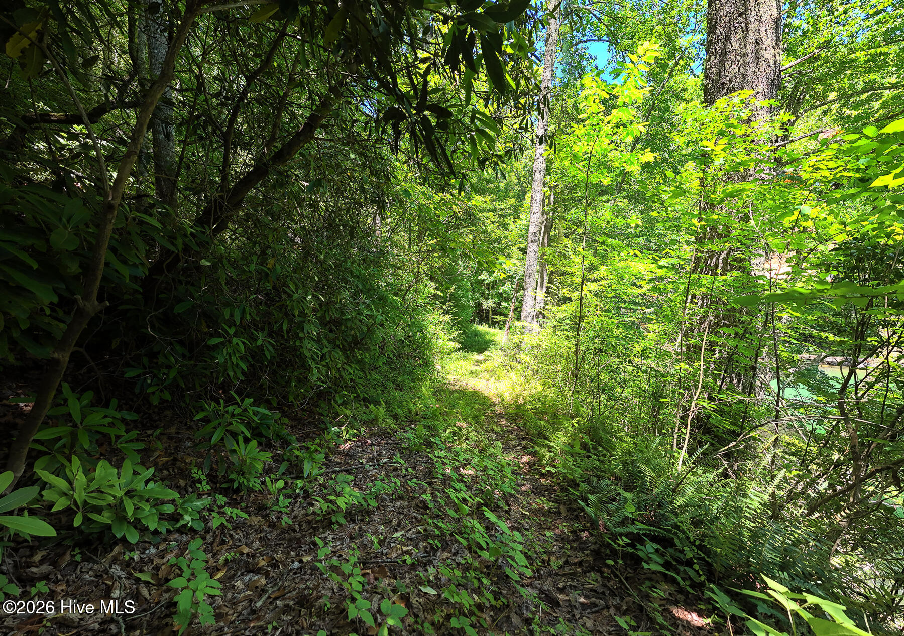 0 Old Lodge Road Topton, NC 28781 - Photo 15 of 18