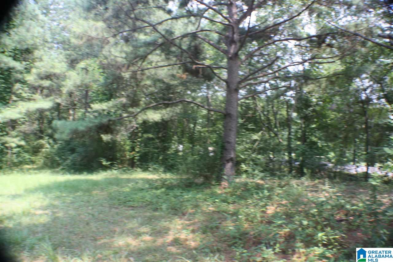 700 Willingham Road Talladega, AL 35160 - Photo 14 of 32 Gallery Image 14