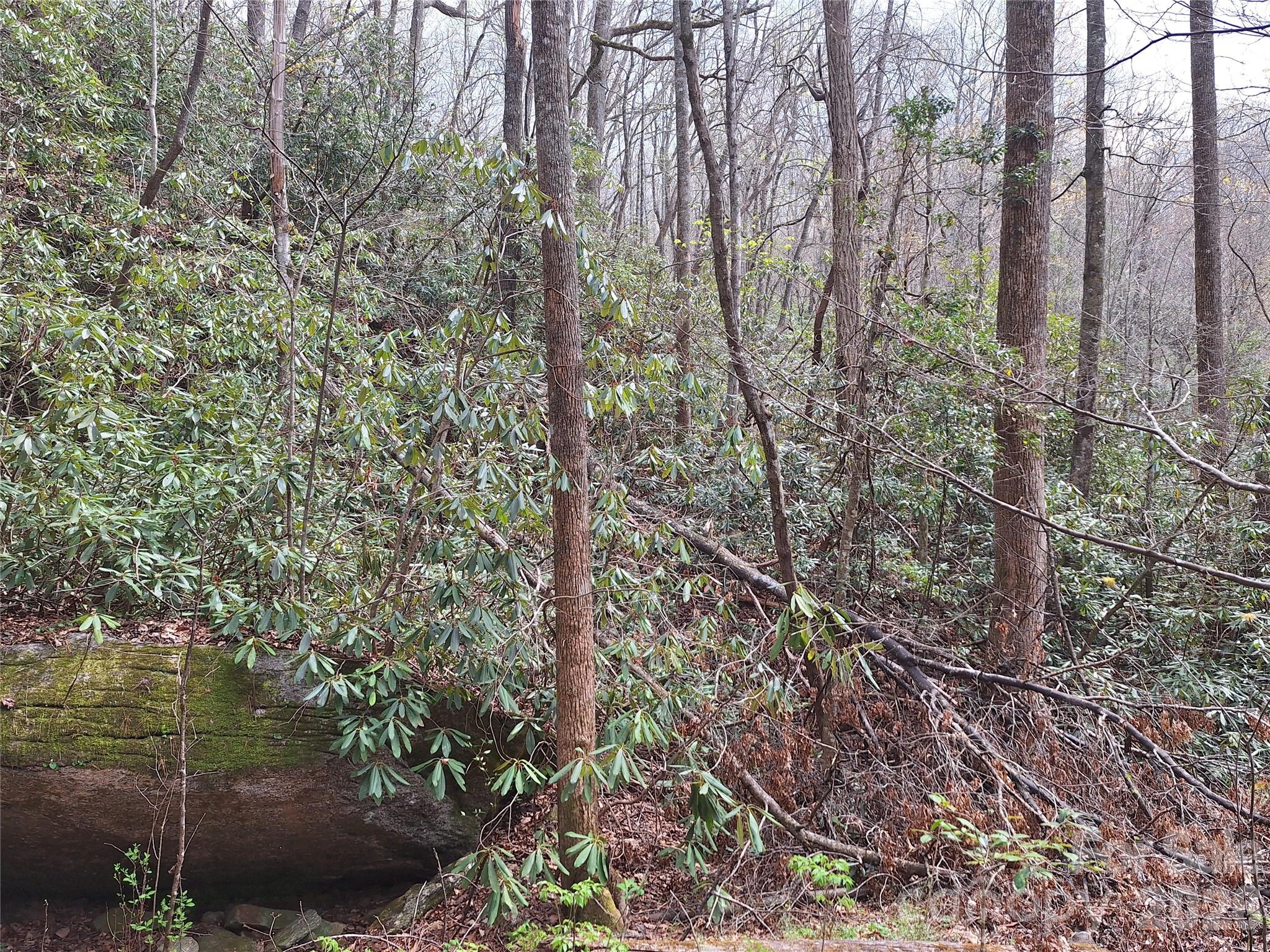 946 Lake Road Old Fort, NC 28762 - Photo 11 of 39
