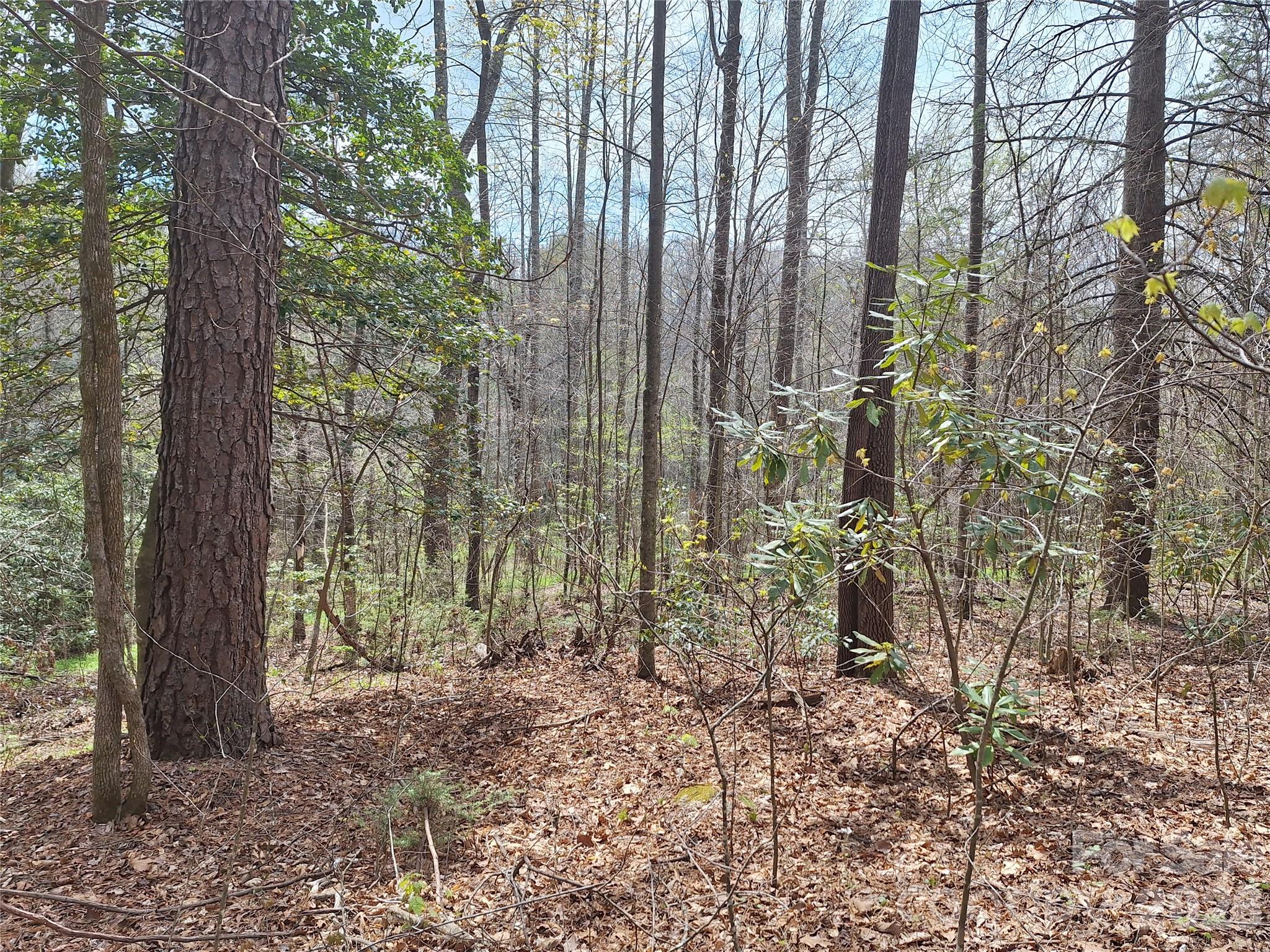 946 Lake Road Old Fort, NC 28762 - Photo 12 of 39
