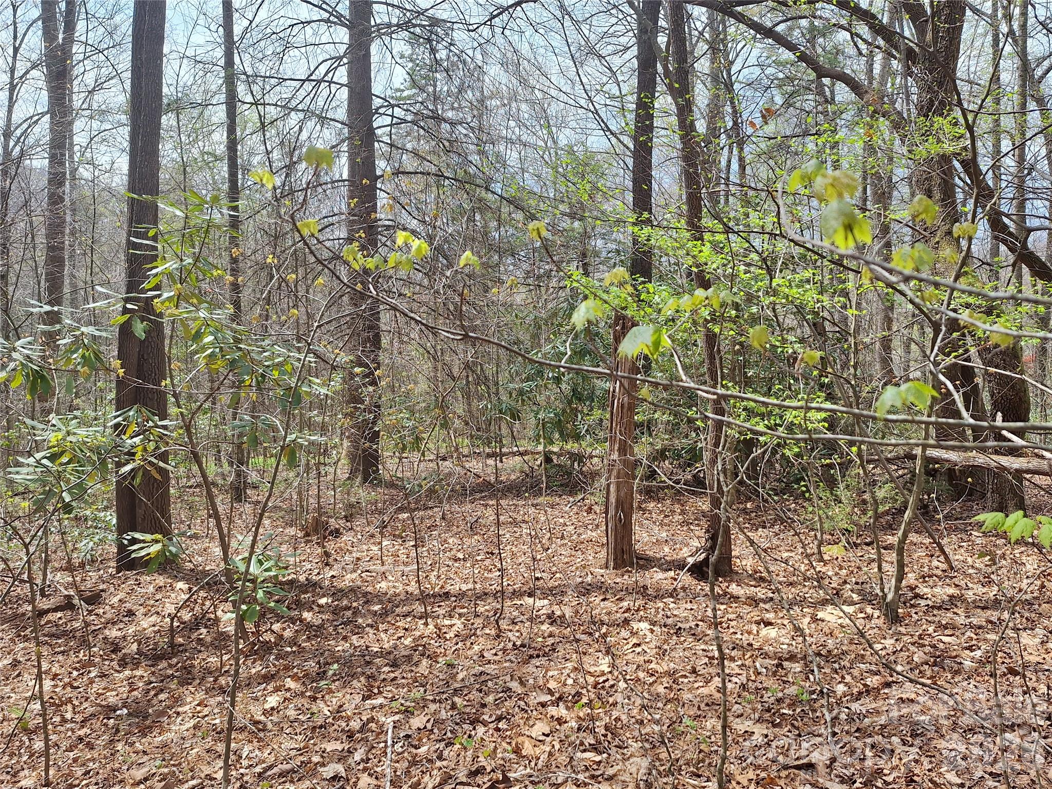 946 Lake Road Old Fort, NC 28762 - Photo 13 of 39