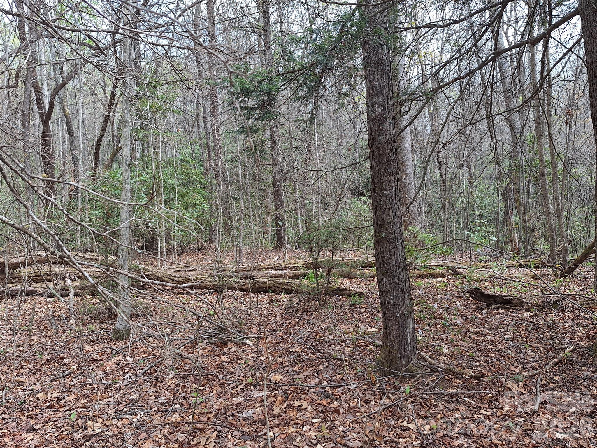 946 Lake Road Old Fort, NC 28762 - Photo 14 of 39