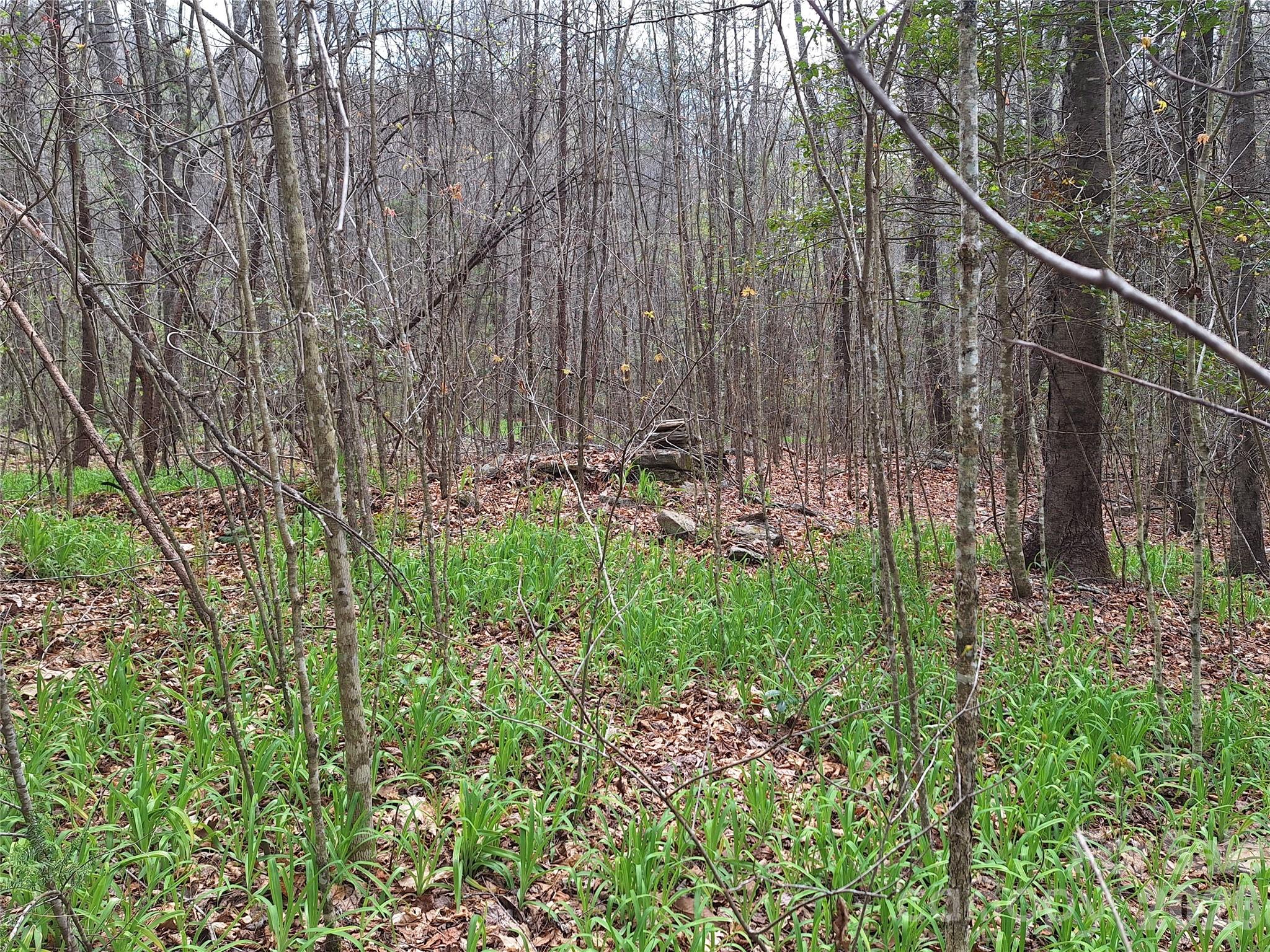 946 Lake Road Old Fort, NC 28762 - Photo 15 of 39