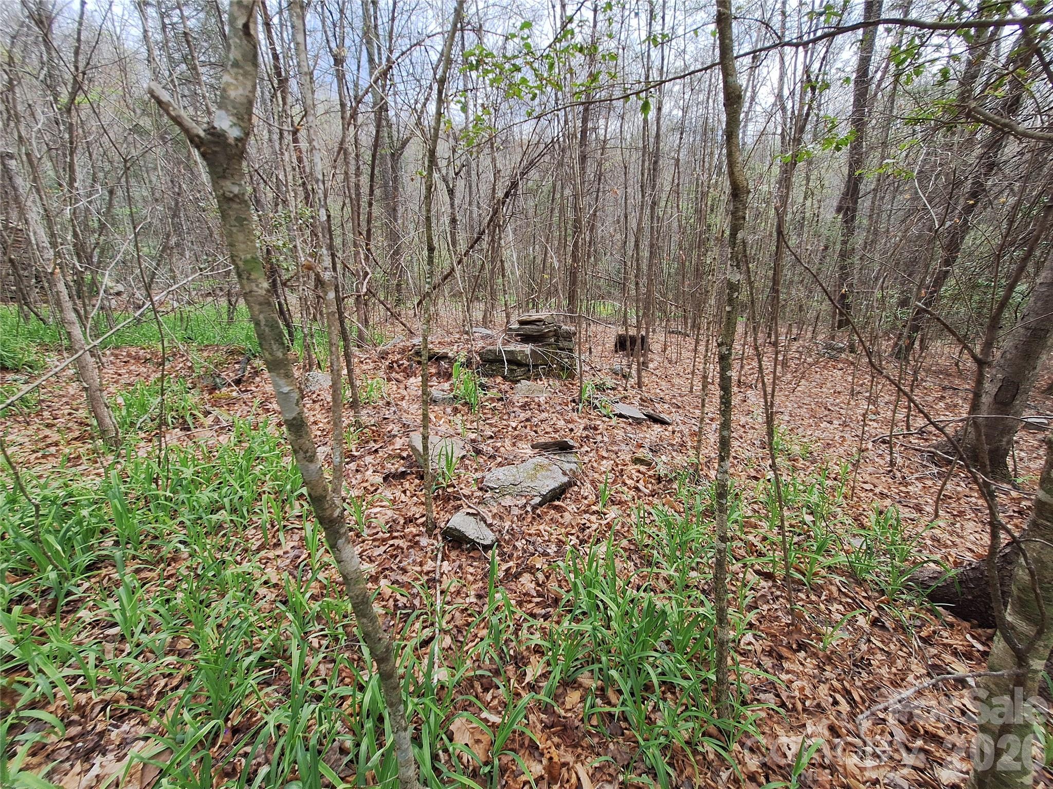 946 Lake Road Old Fort, NC 28762 - Photo 16 of 39