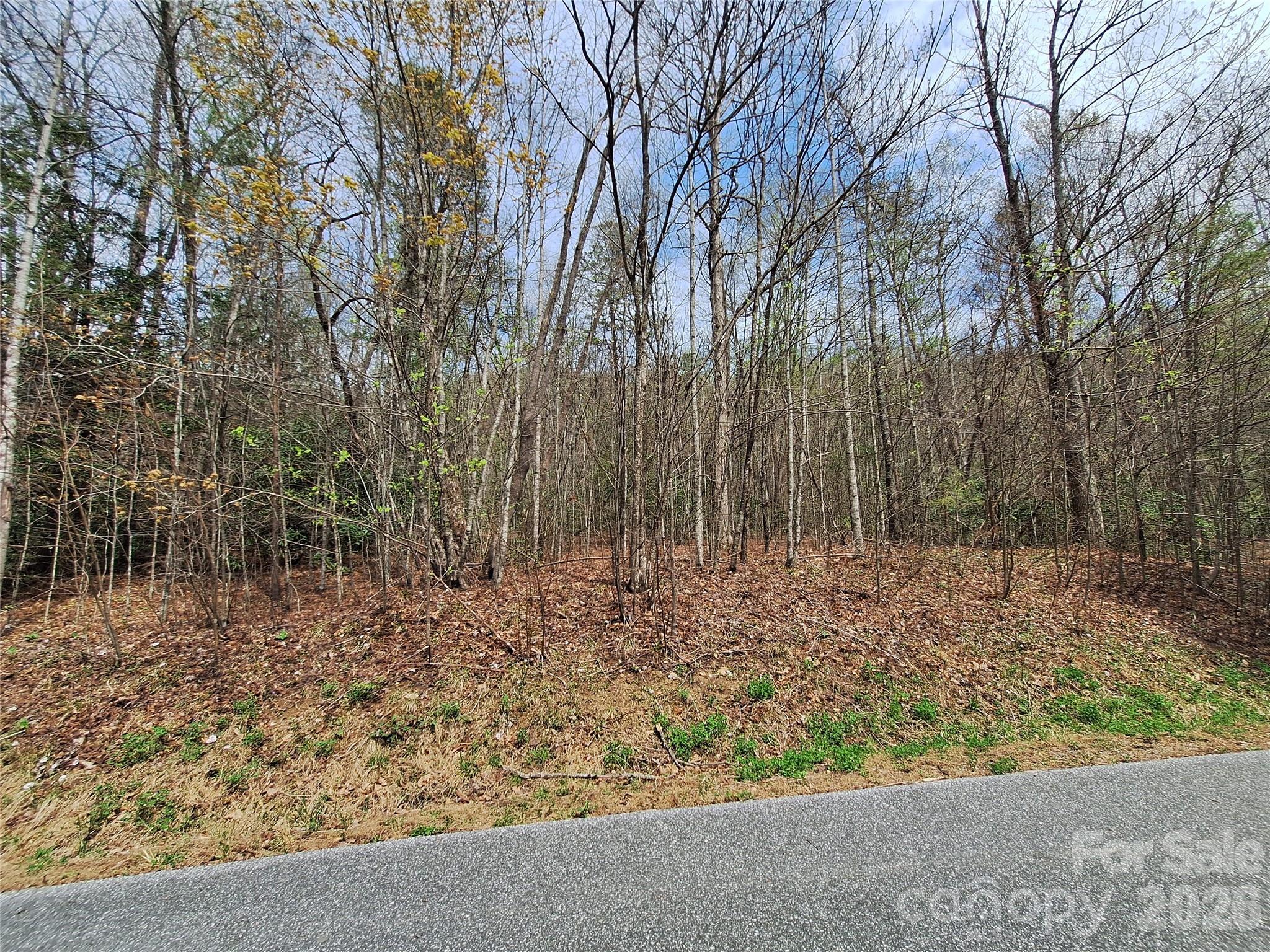946 Lake Road Old Fort, NC 28762 - Photo 17 of 39