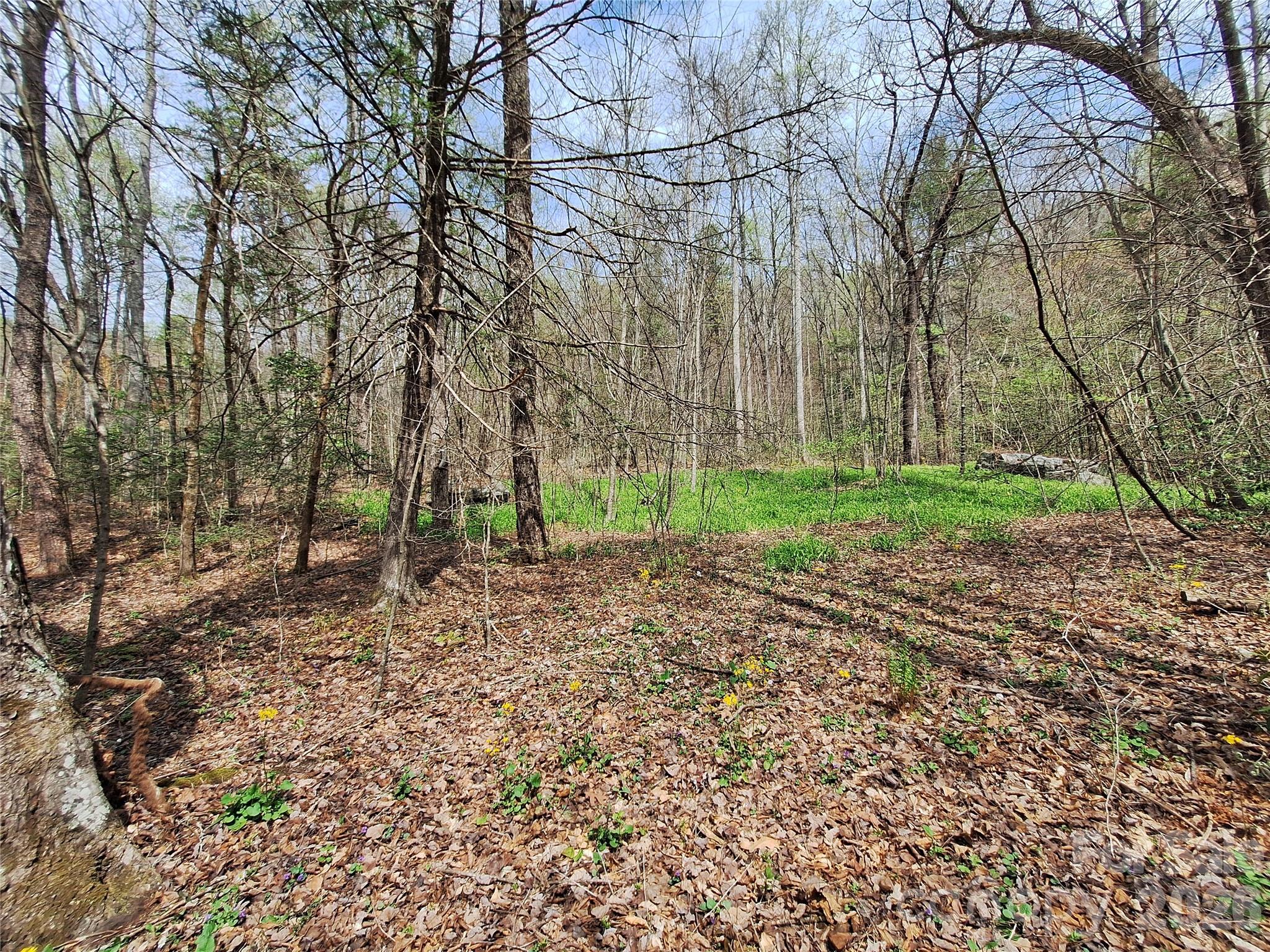 946 Lake Road Old Fort, NC 28762 - Photo 18 of 39