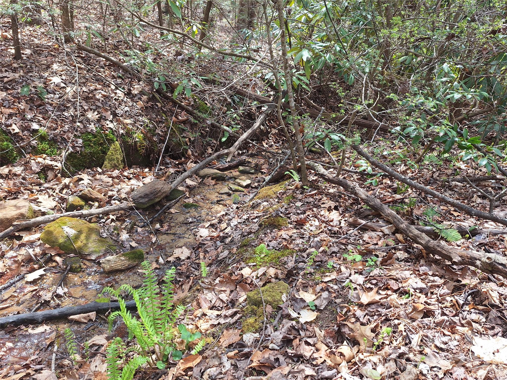 946 Lake Road Old Fort, NC 28762 - Photo 19 of 39