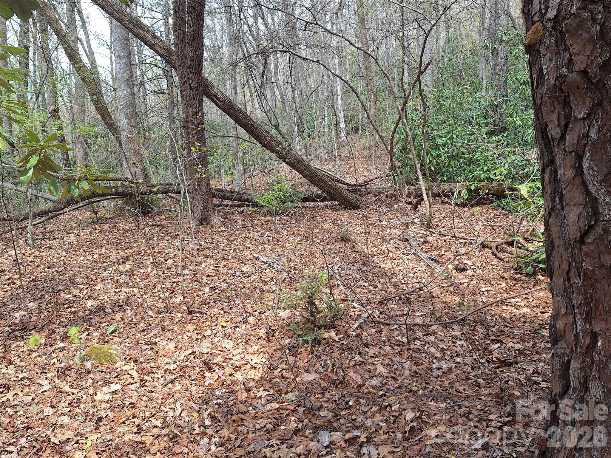 946 Lake Road Old Fort, NC 28762 - Photo 22 of 39