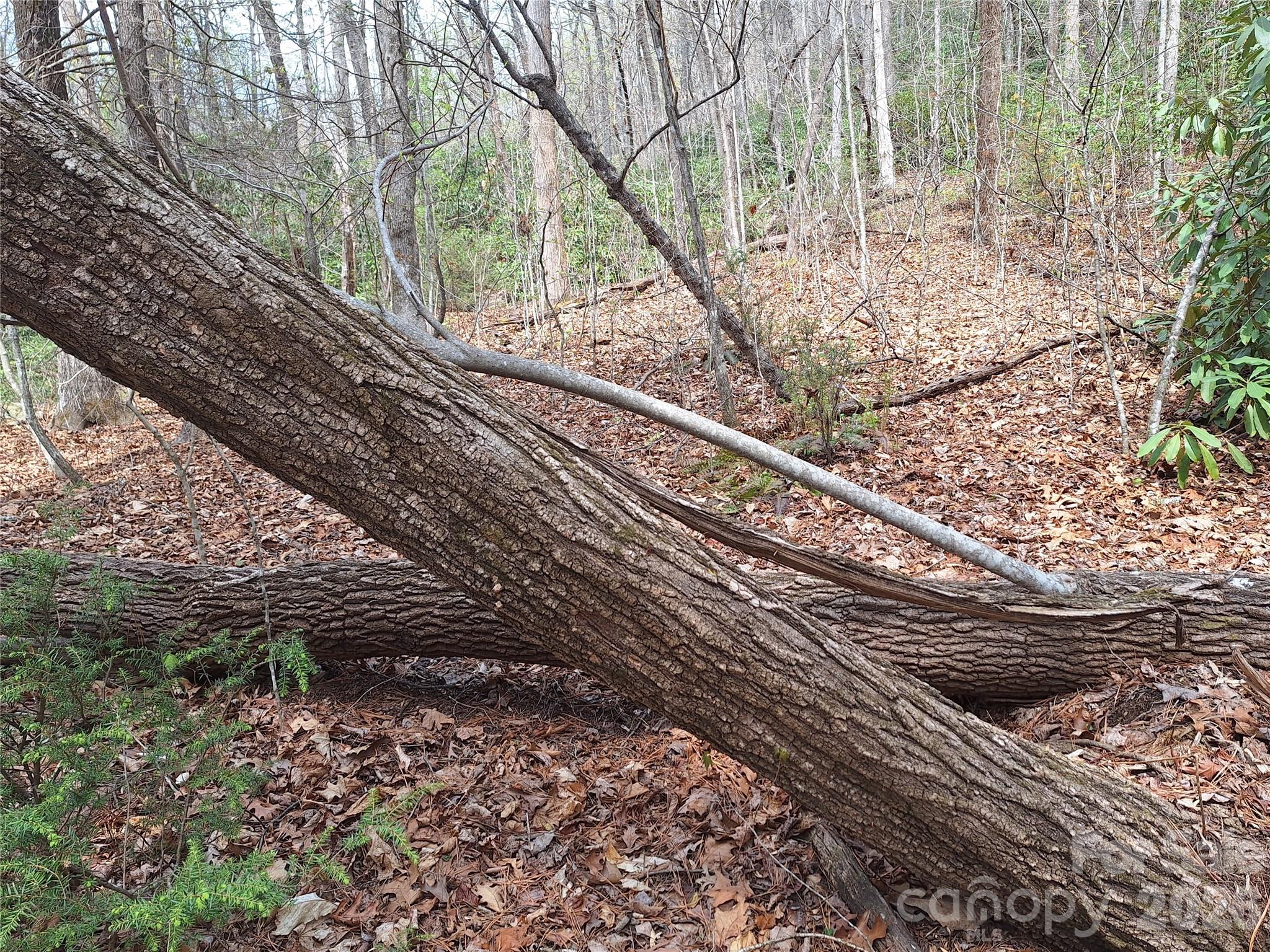 946 Lake Road Old Fort, NC 28762 - Photo 23 of 39