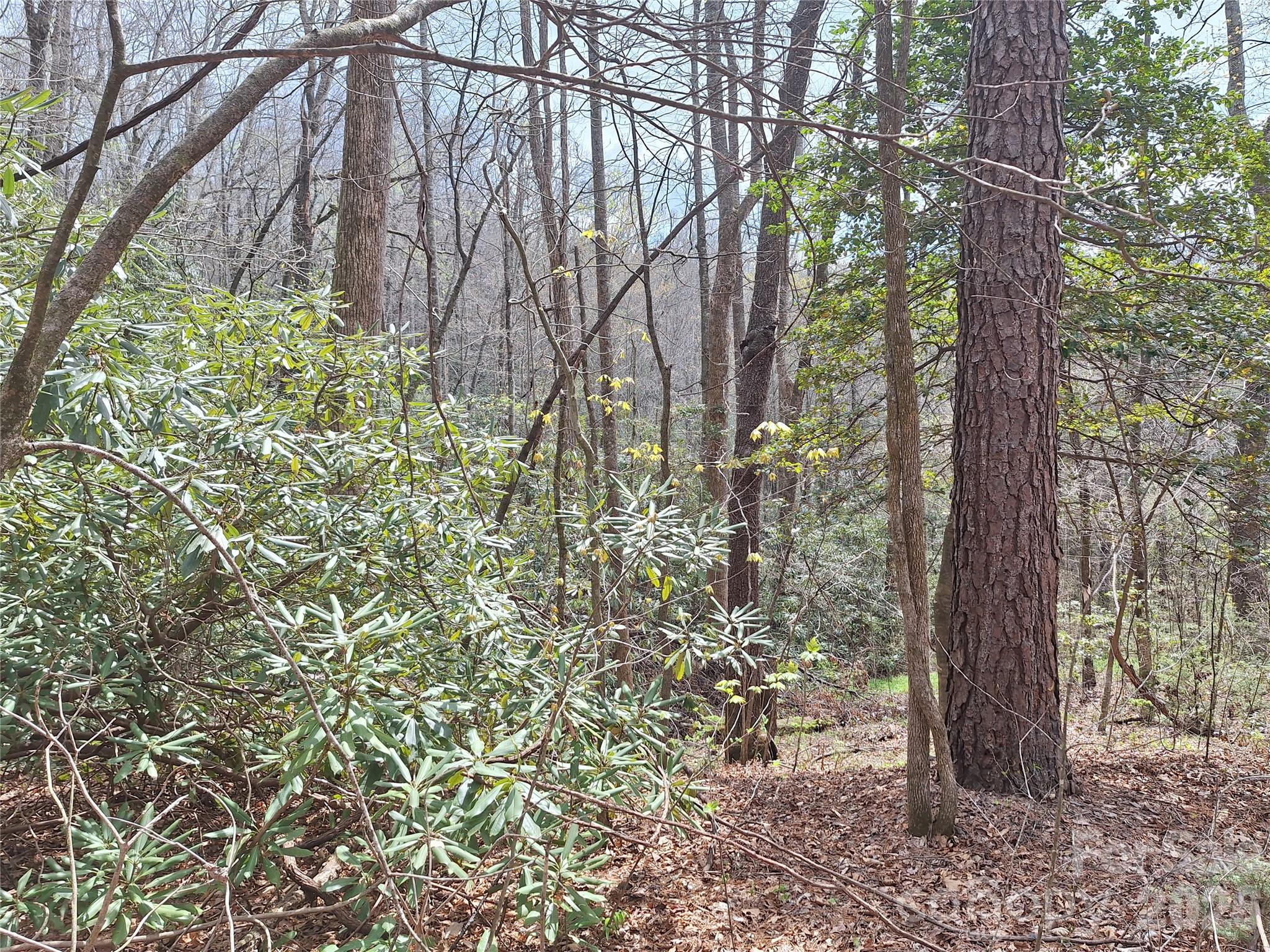 946 Lake Road Old Fort, NC 28762 - Photo 24 of 39