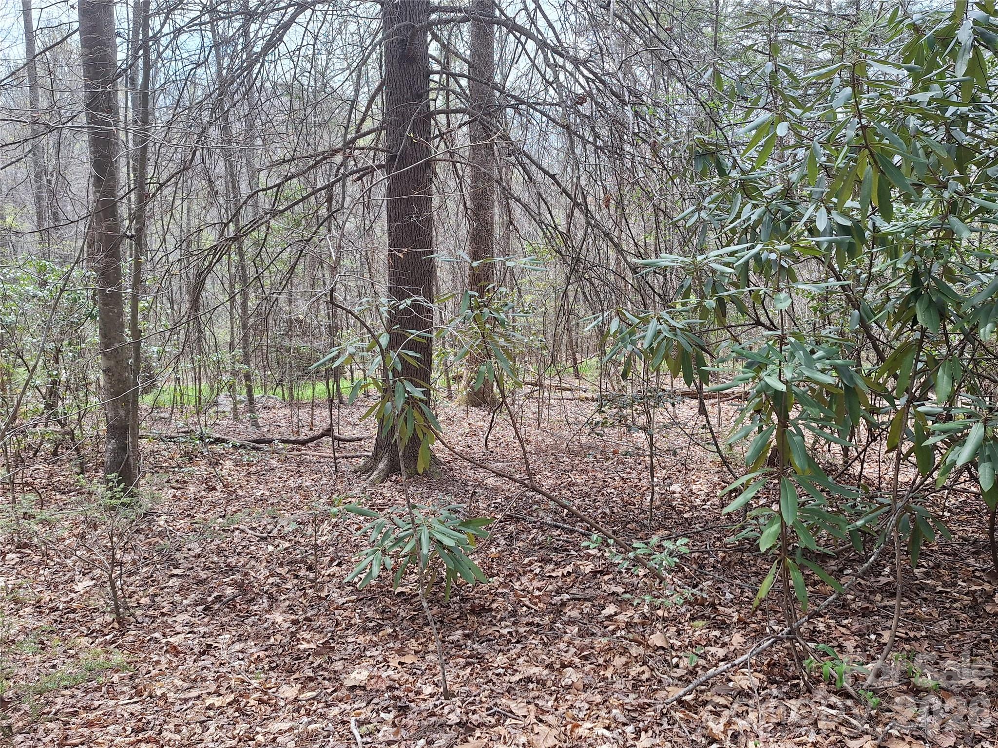 946 Lake Road Old Fort, NC 28762 - Photo 25 of 39
