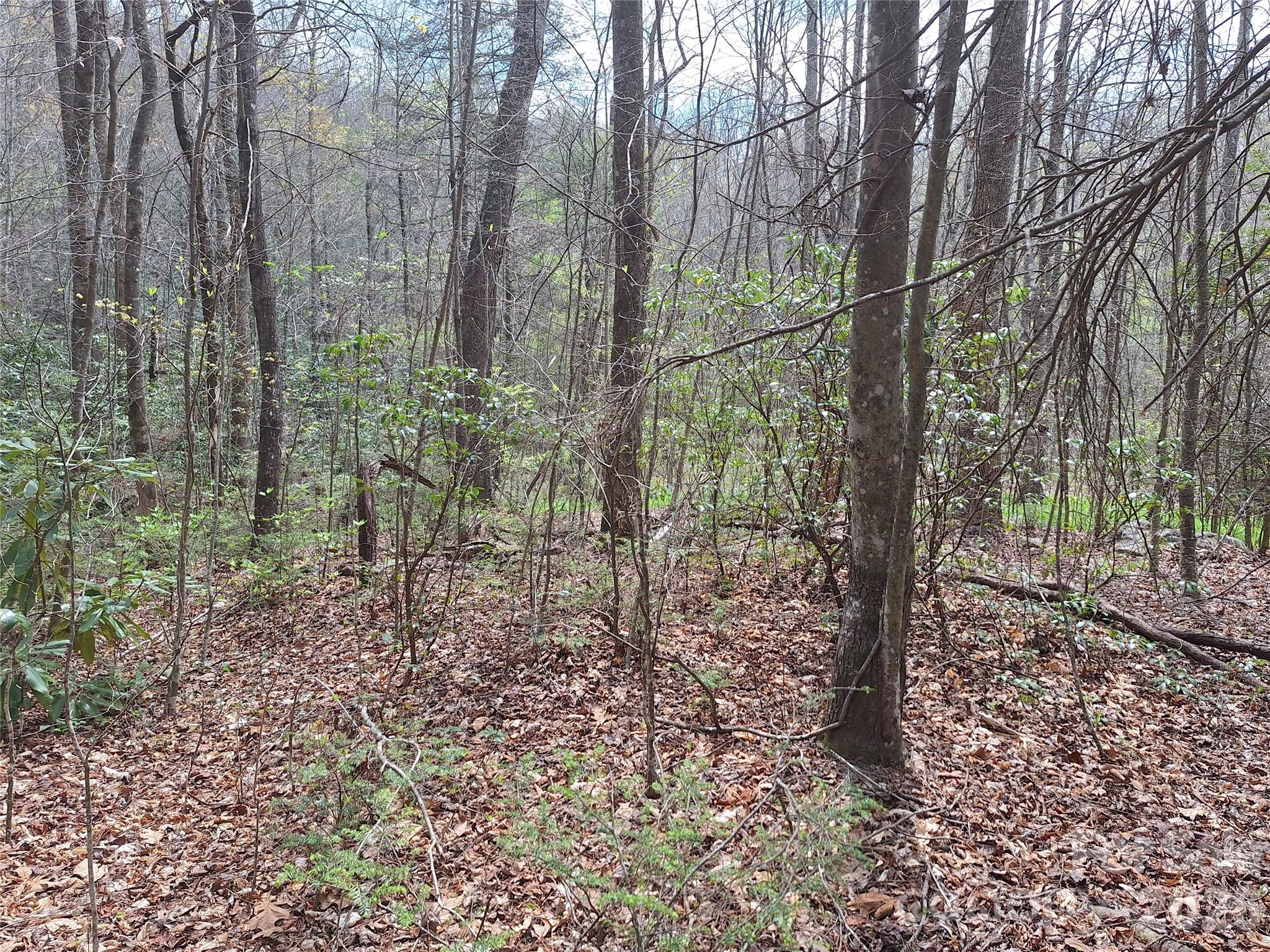 946 Lake Road Old Fort, NC 28762 - Photo 26 of 39