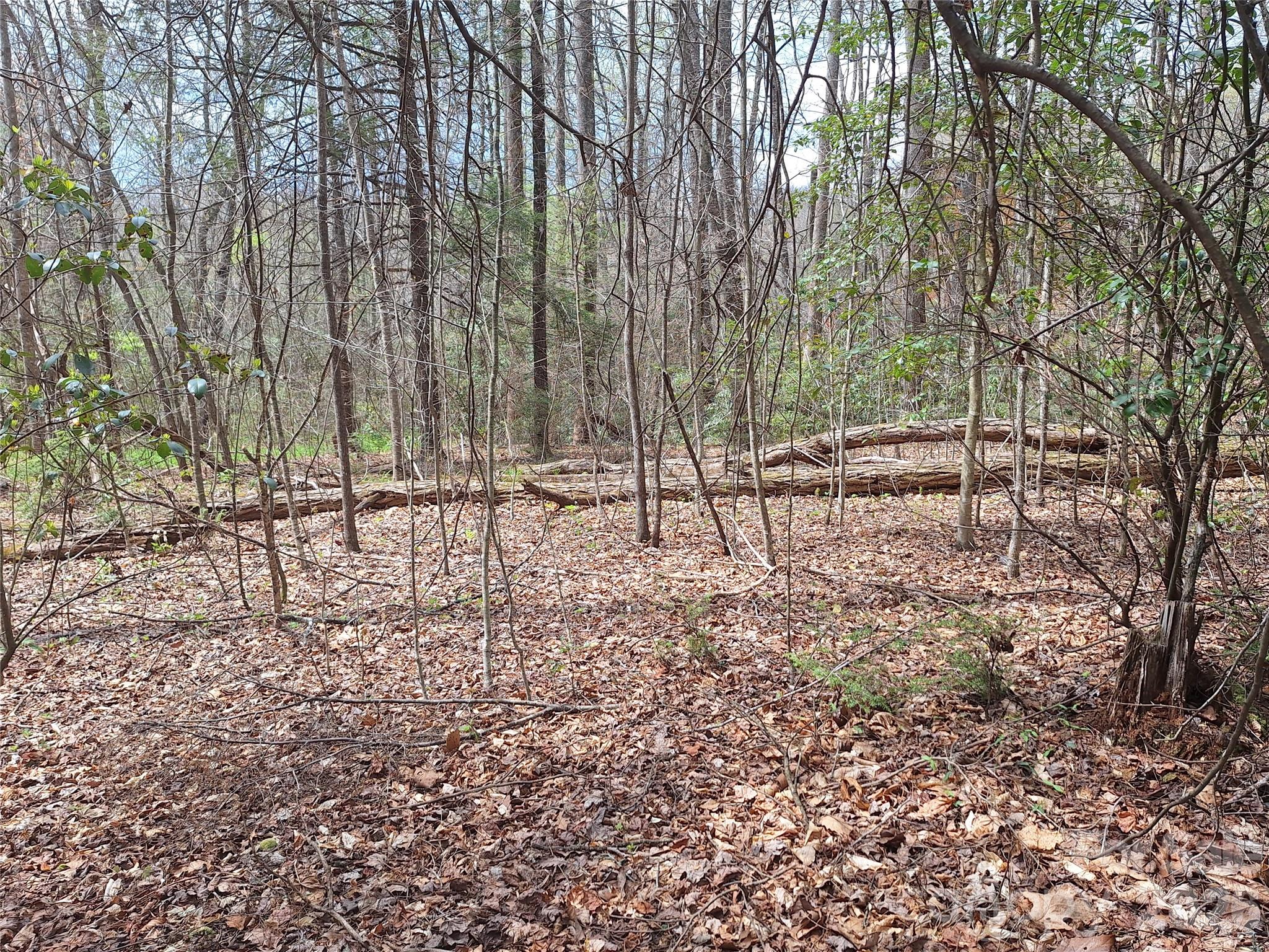946 Lake Road Old Fort, NC 28762 - Photo 27 of 39