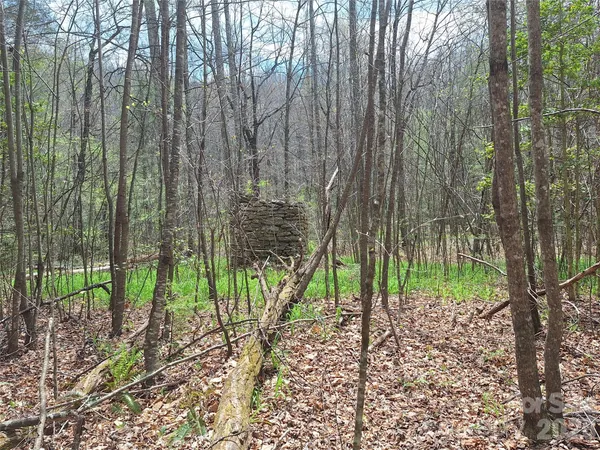 $79,000 | 946 Lake Road, Old Fort, NC 28762