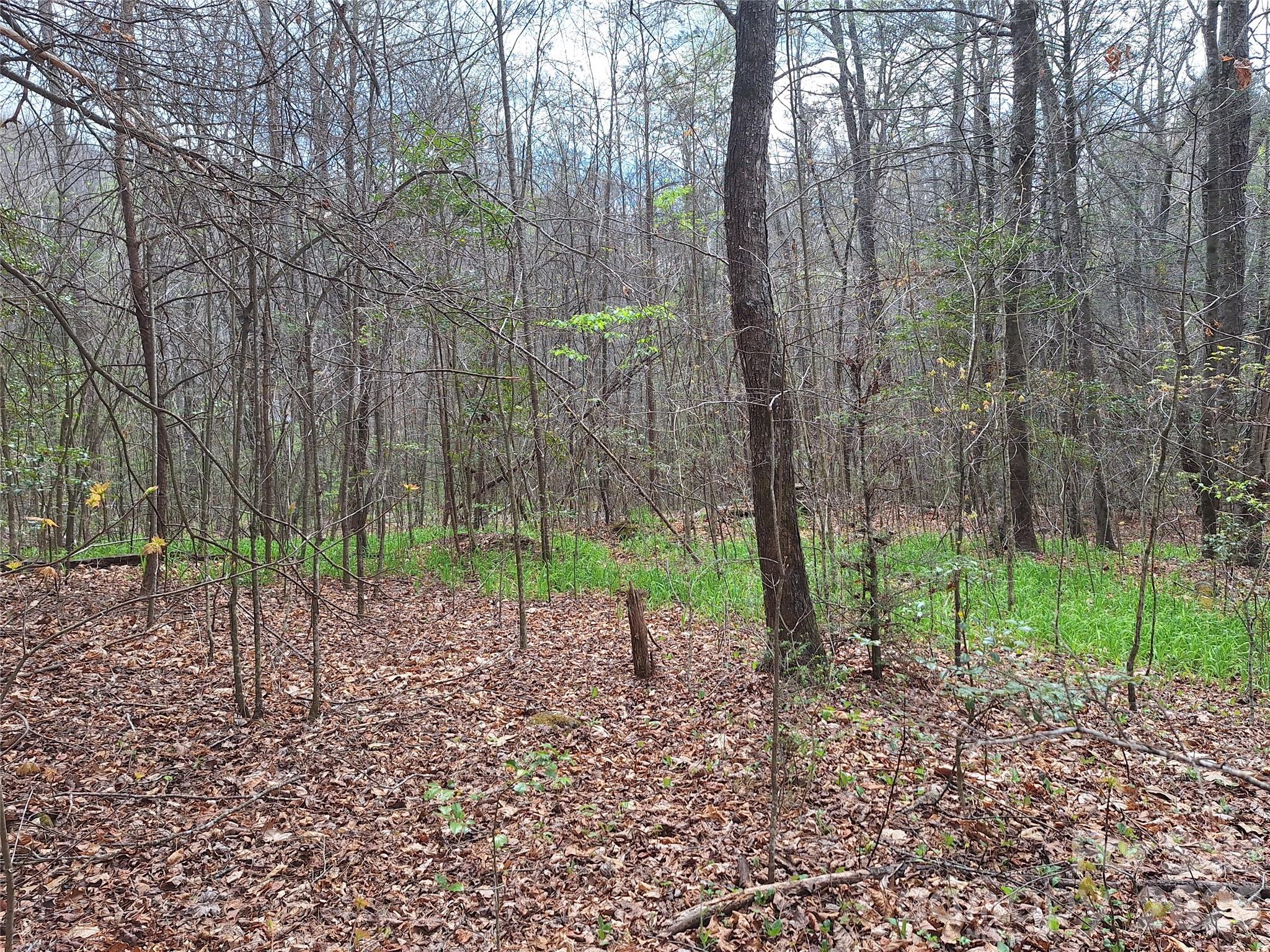 946 Lake Road Old Fort, NC 28762 - Photo 29 of 39