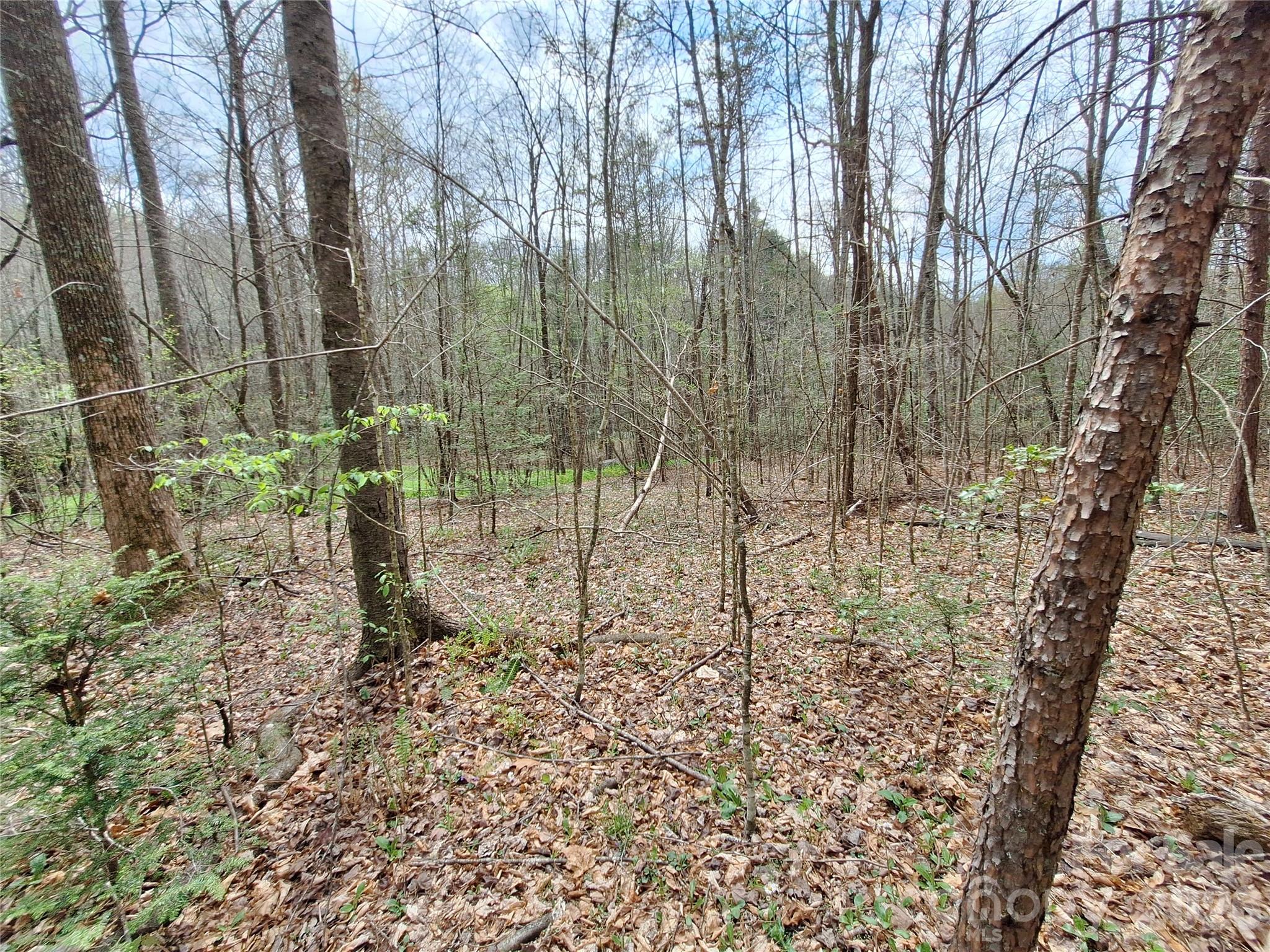 946 Lake Road Old Fort, NC 28762 - Photo 30 of 39