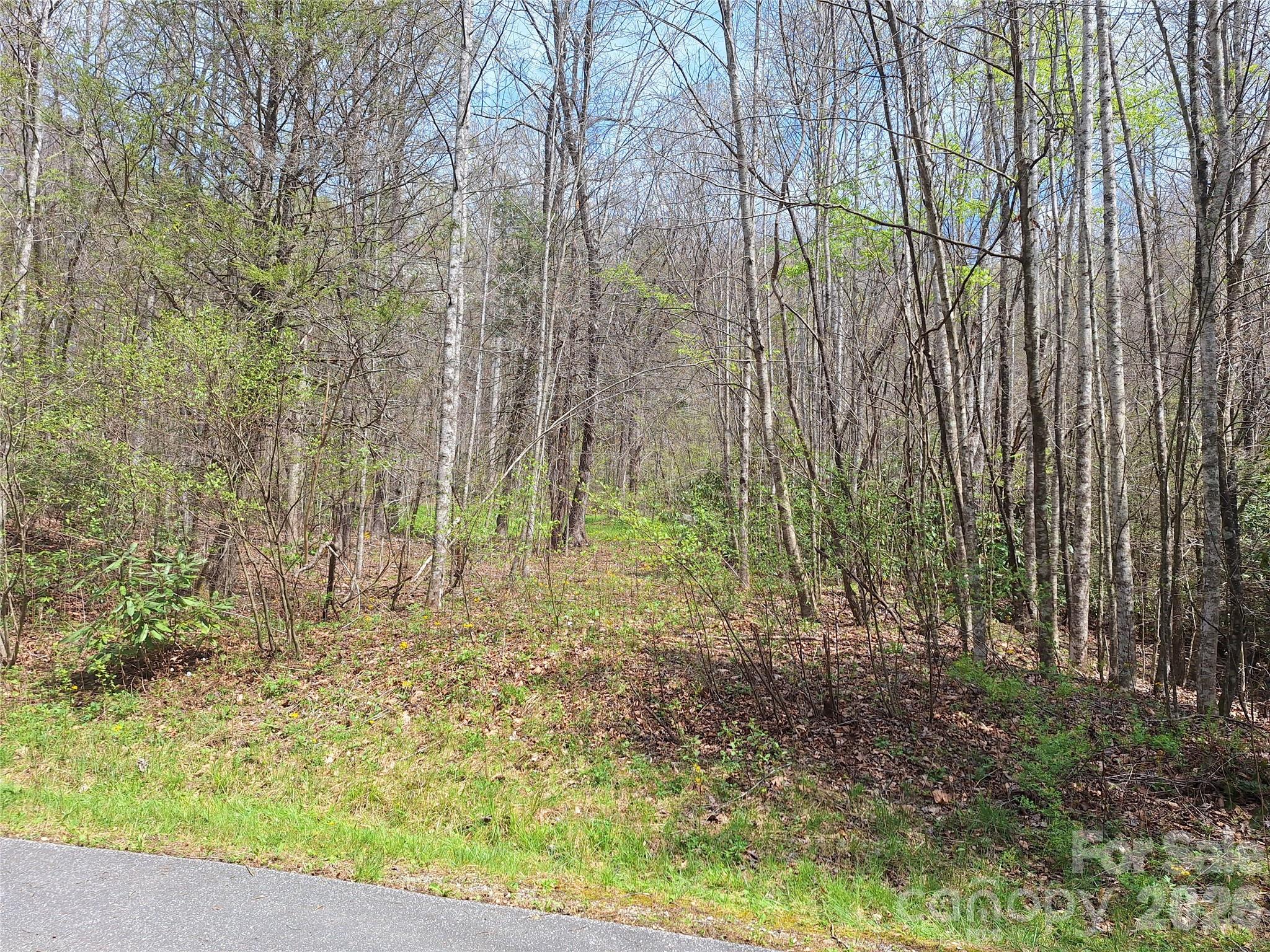 946 Lake Road Old Fort, NC 28762 - Photo 3 of 39