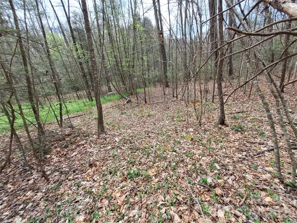 $79,000 | 946 Lake Road, Old Fort, NC 28762
