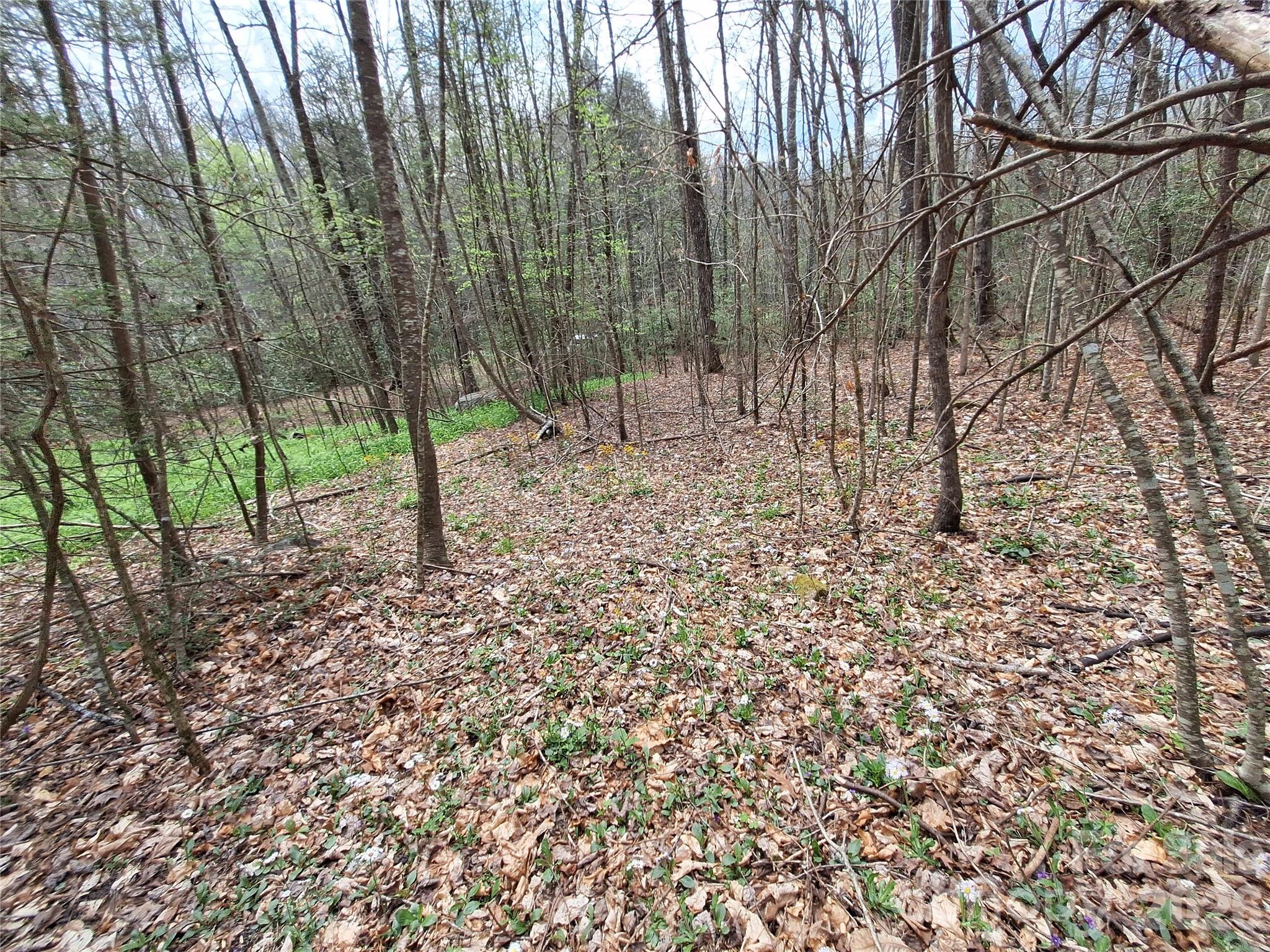 946 Lake Road Old Fort, NC 28762 - Photo 31 of 39