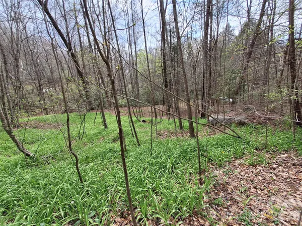 $79,000 | 946 Lake Road, Old Fort, NC 28762