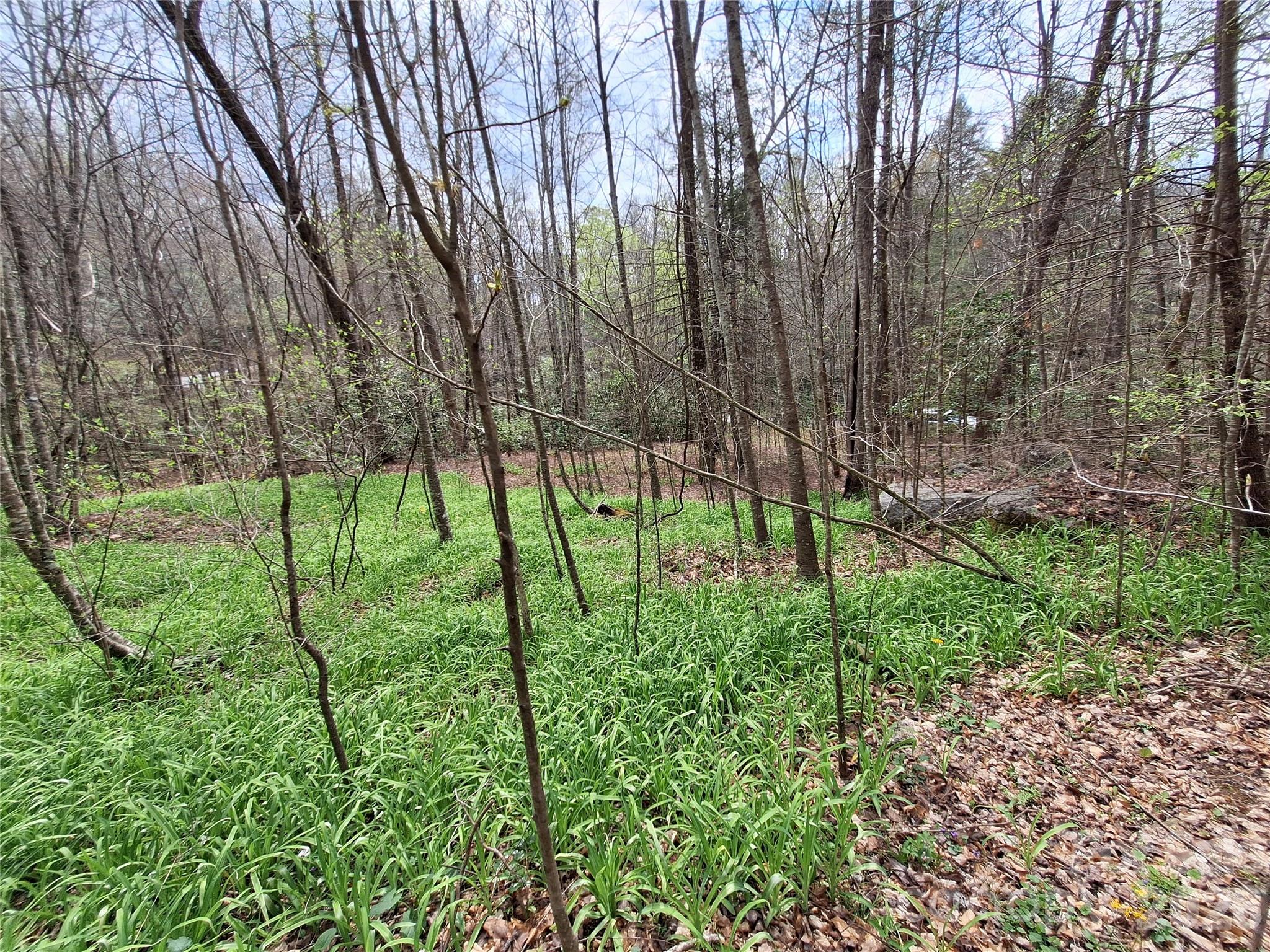 946 Lake Road Old Fort, NC 28762 - Photo 32 of 39