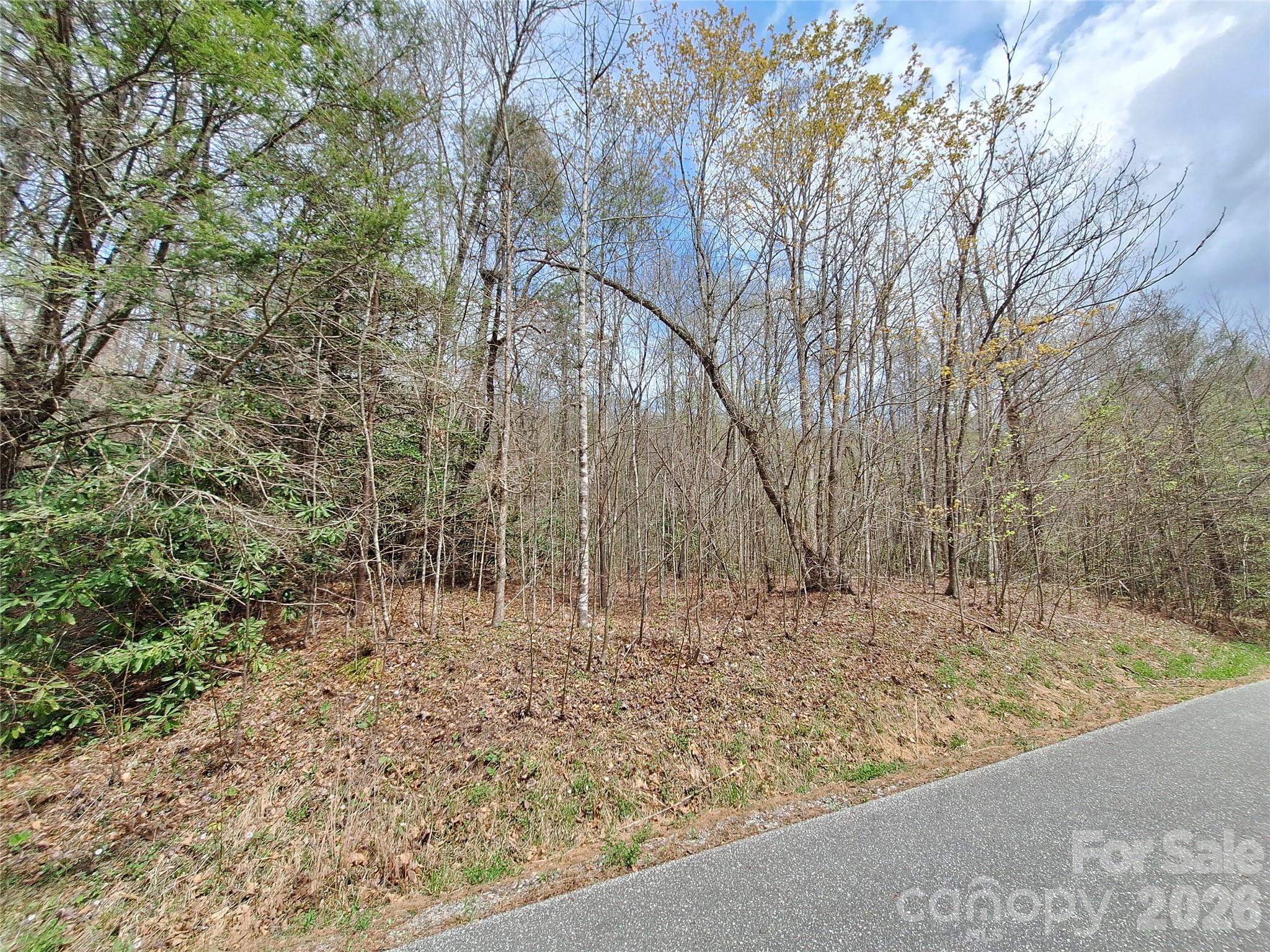 946 Lake Road Old Fort, NC 28762 - Photo 34 of 39
