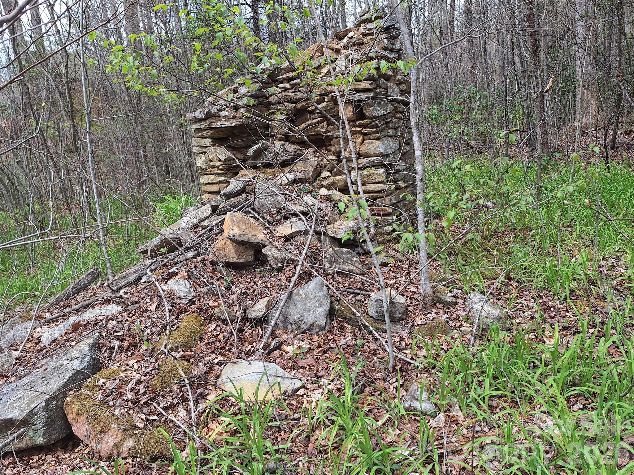 946 Lake Road Old Fort, NC 28762 - Photo 35 of 39