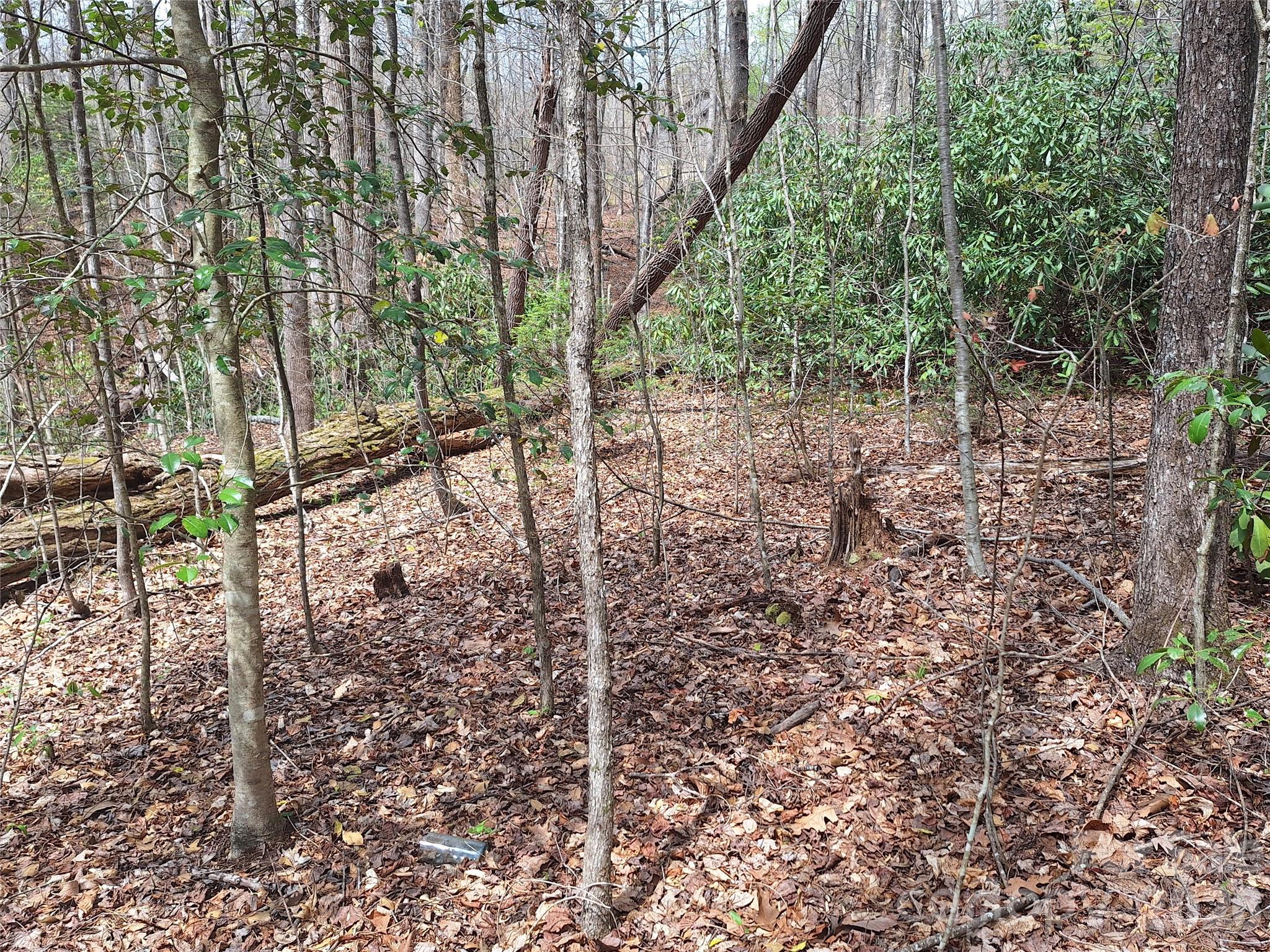 946 Lake Road Old Fort, NC 28762 - Photo 37 of 39