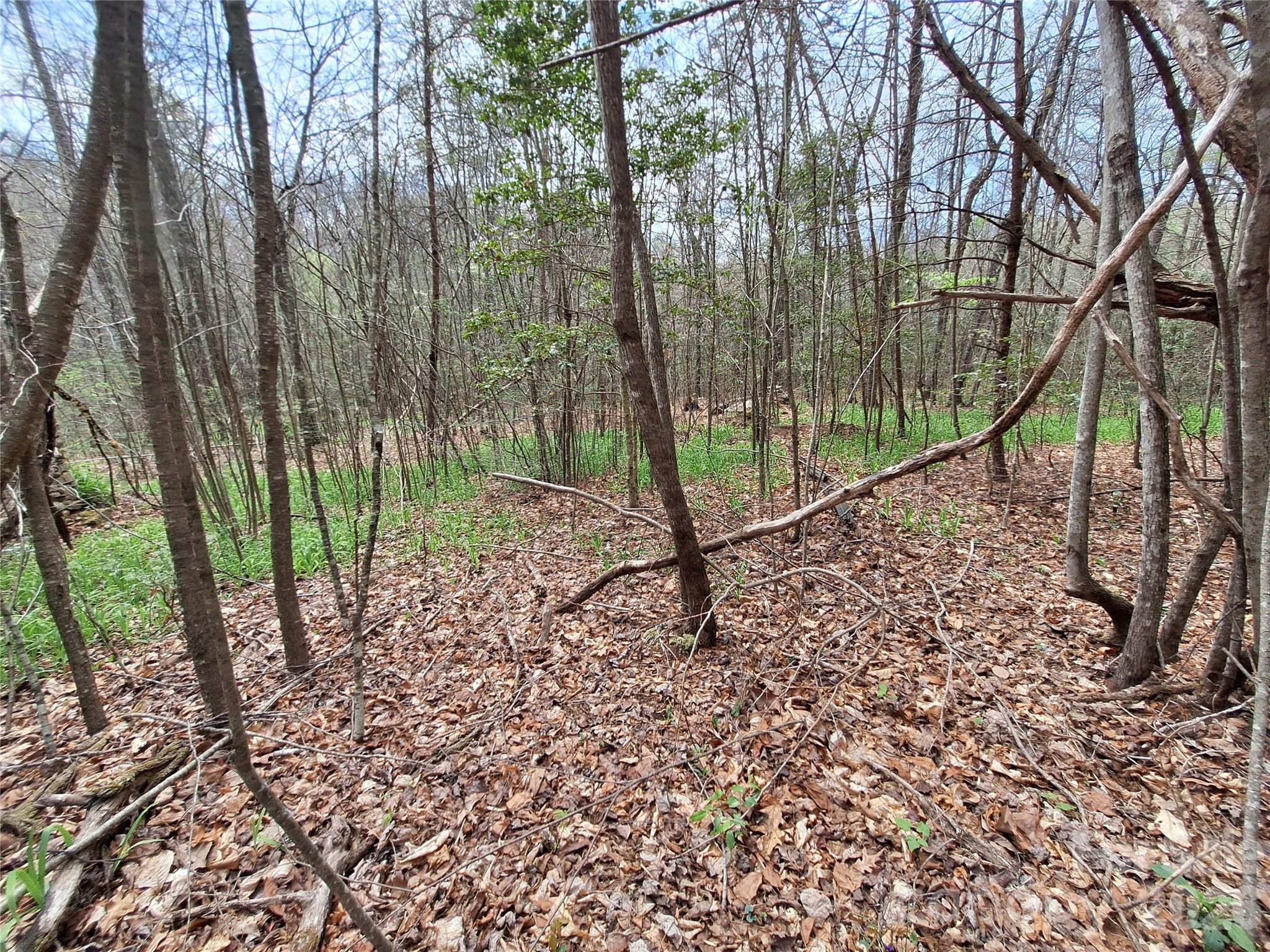 946 Lake Road Old Fort, NC 28762 - Photo 39 of 39