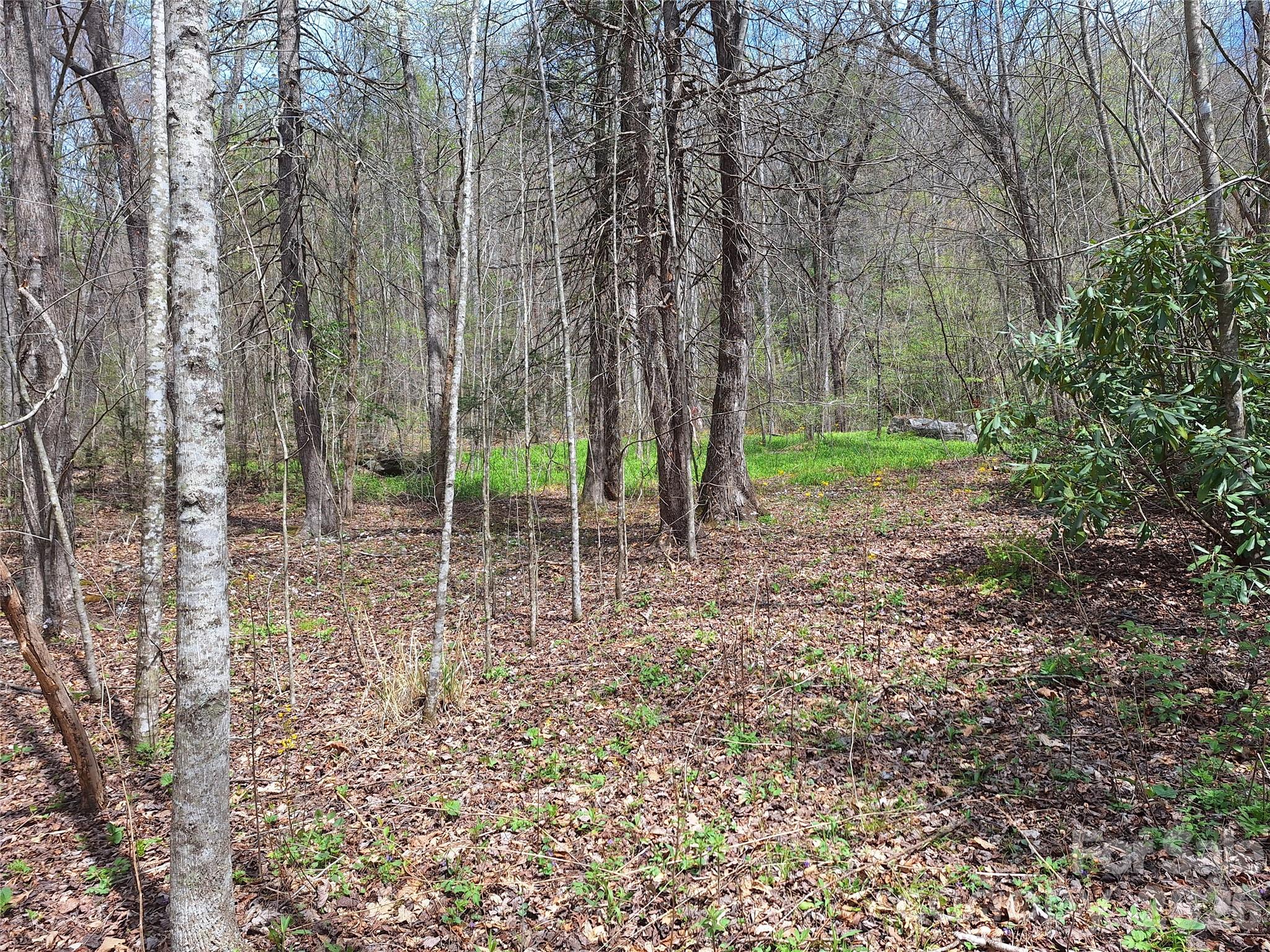 946 Lake Road Old Fort, NC 28762 - Photo 5 of 39