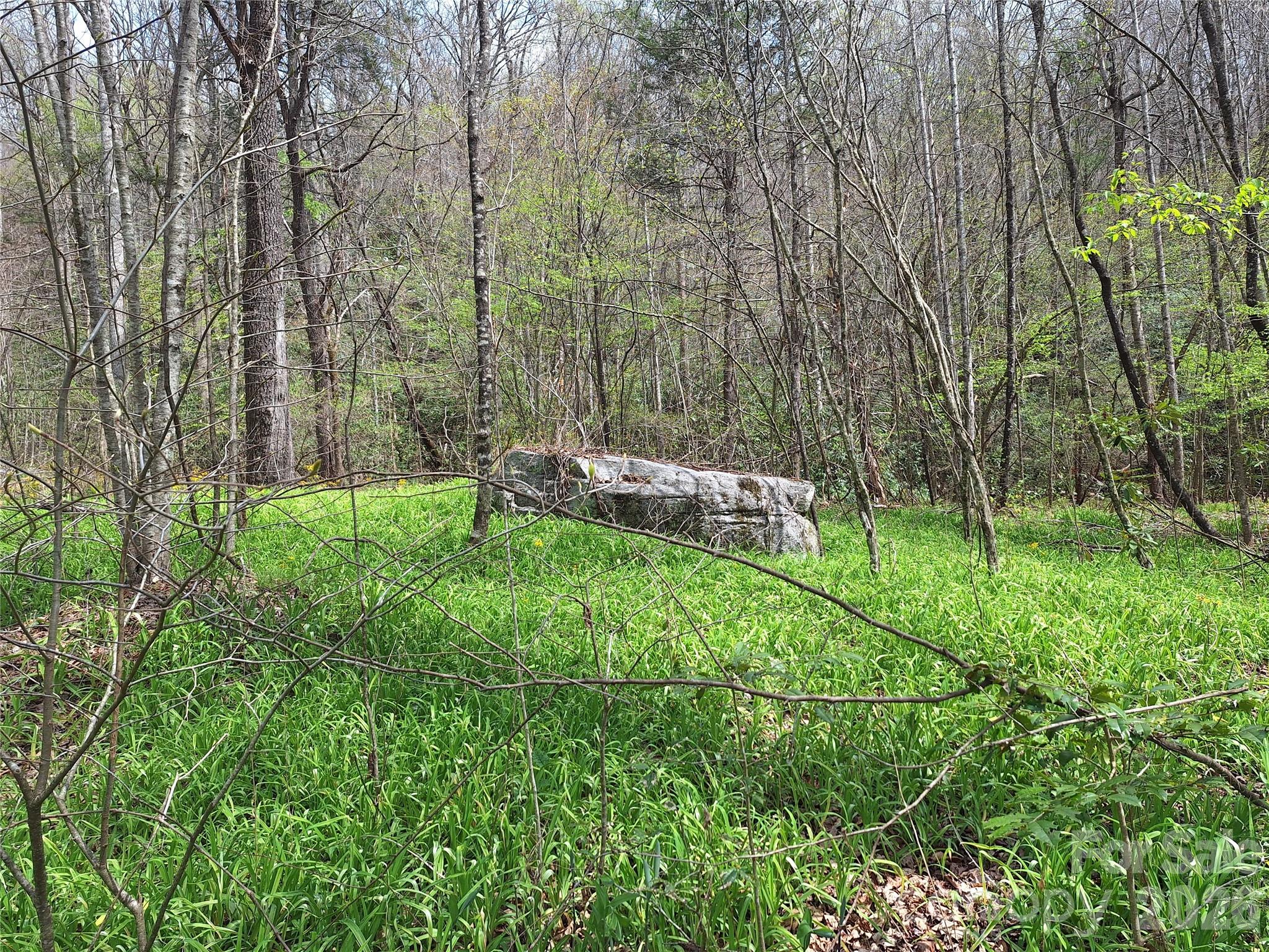 946 Lake Road Old Fort, NC 28762 - Photo 7 of 39