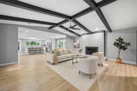 a living room with furniture a fireplace and a potted plant